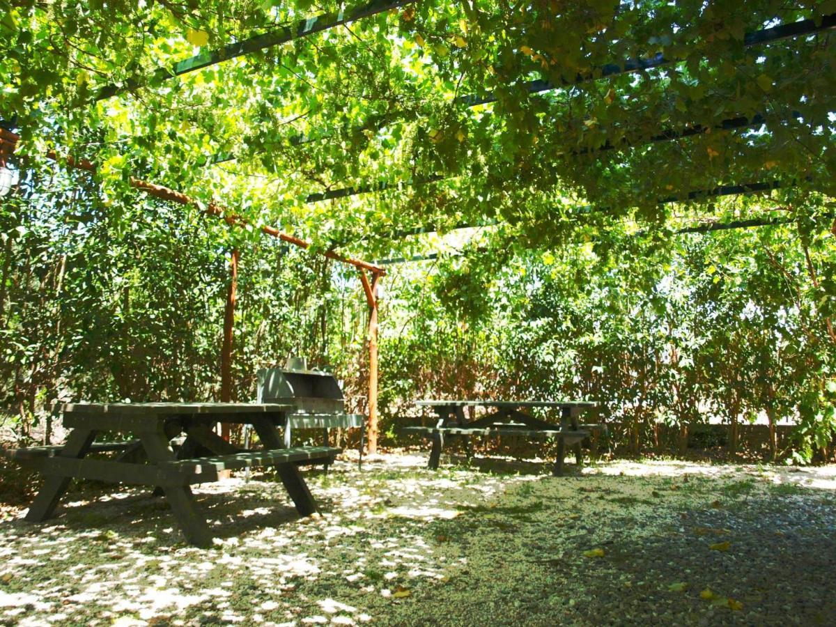 The White Rabbit Guesthouse Eco-Lodge "Cosy Apartment" Psakoudia Bagian luar foto