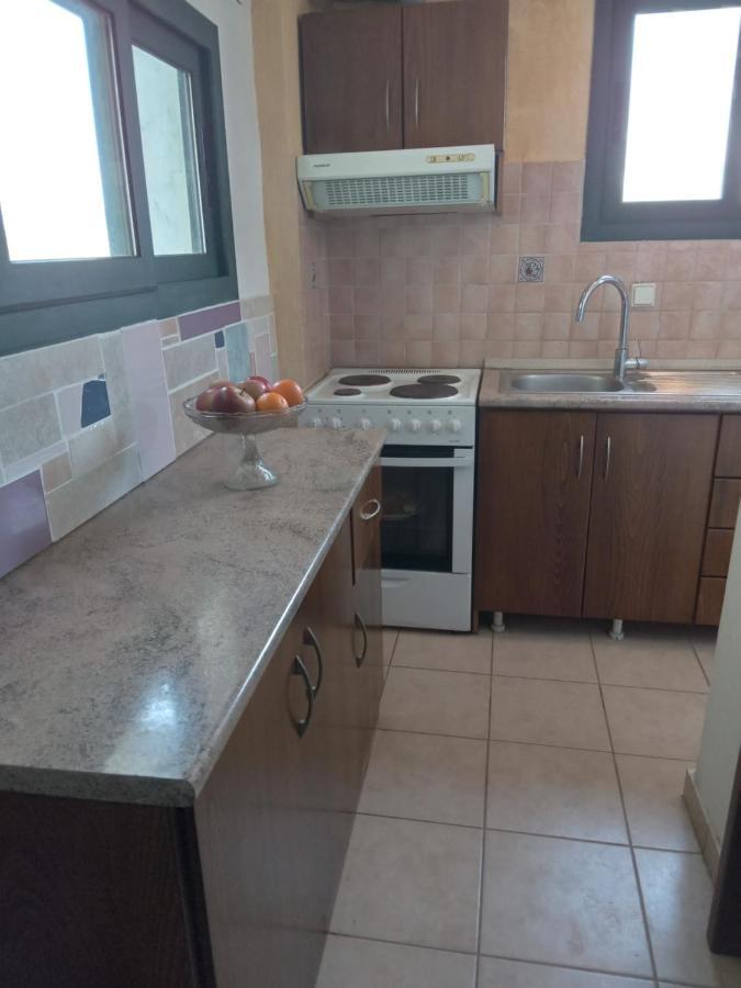 The White Rabbit Guesthouse Eco-Lodge "Cosy Apartment" Psakoudia Bagian luar foto